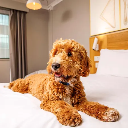 Ibis Styles Centre Hotel 3*